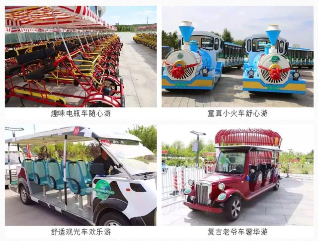 你假期里所有的乐趣，都被鄂尔多斯野生动物园承包了