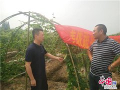 湖南南县：蔬菜＂缘＂里撑起农民幸福的微笑