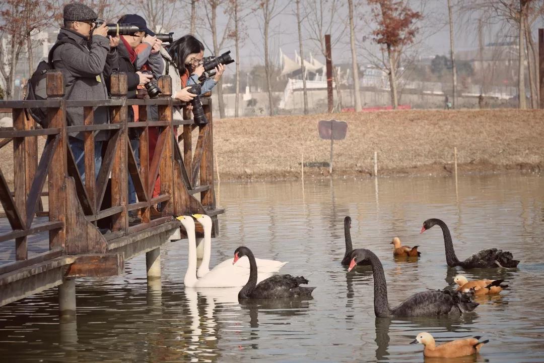 微信图片_20200102100920.jpg