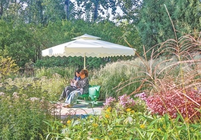 北京发布40余处小而美“花境”——游园好时节 一步一悠然